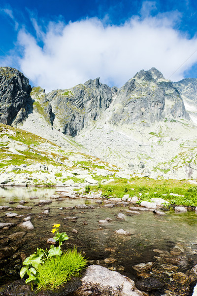 Five Spis Tarns, High Tatras (Vysoke Tatry), Slovakia Stock photo © phbcz