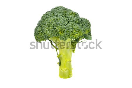 broccoli Stock photo © philipimage