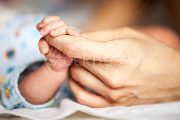 Newborn baby holding mother's hand Stock photo © photobac