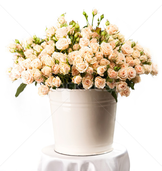 Köteg krémes rózsák vödör fehér virágok Stock fotó © photobac