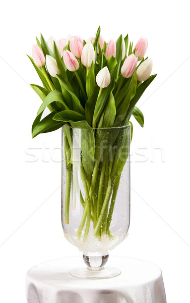Pink and white tulips bouquet in vase over white Stock photo © photobac