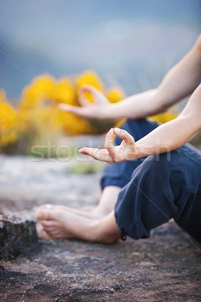 Close up of female hand zen gesturing Stock photo © photobac