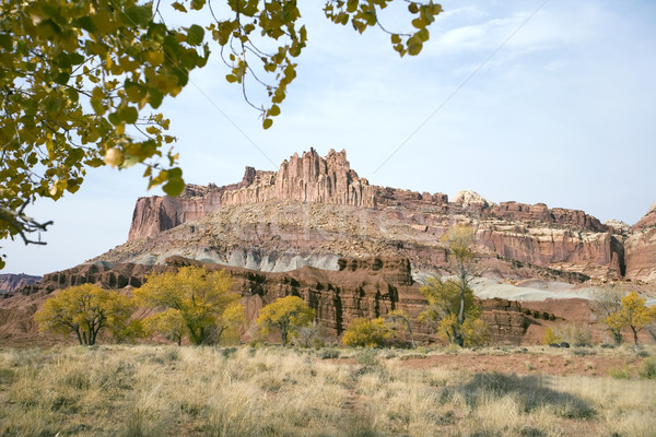 View of a beautiful Mountain Stock photo © photoblueice