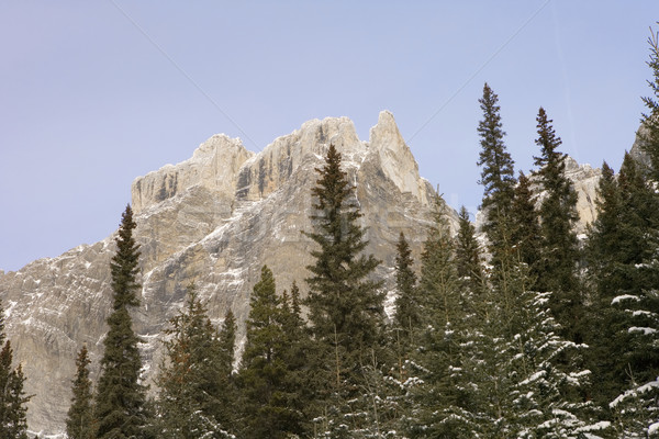 Rocky Mountains in Jasper National Park Stock photo © photoblueice