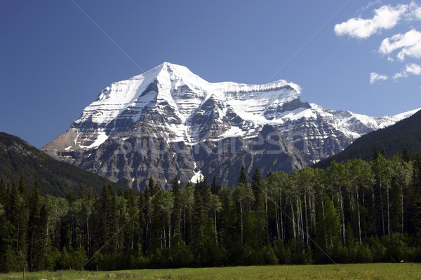 View of Mountain Robson Stock photo © photoblueice