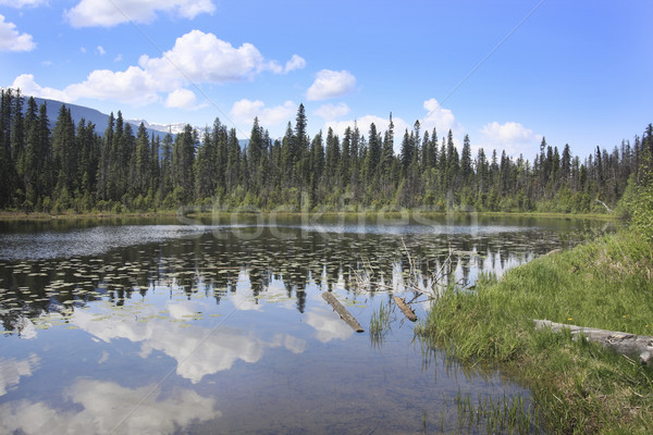 Lake with mountain reflection Stock photo © photoblueice