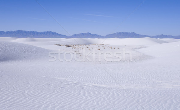 White Sands National Park Stock photo © photoblueice