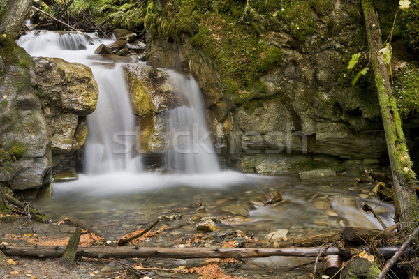небольшой водопада красивой Сток-фото © photoblueice