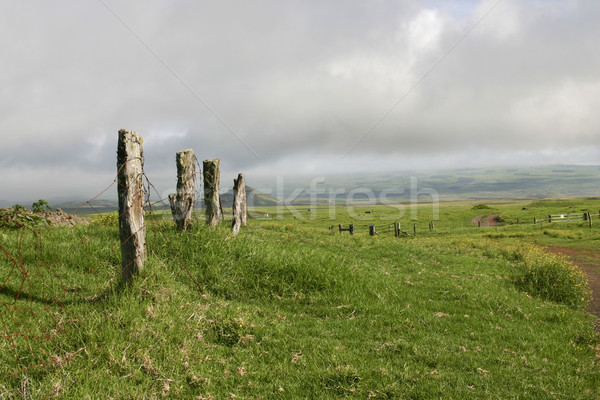 Landscape of fields on the Big Island of Hawaii Stock photo © photoblueice