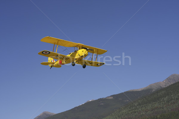 Tigru avion cer motor militar galben Imagine de stoc © photoblueice