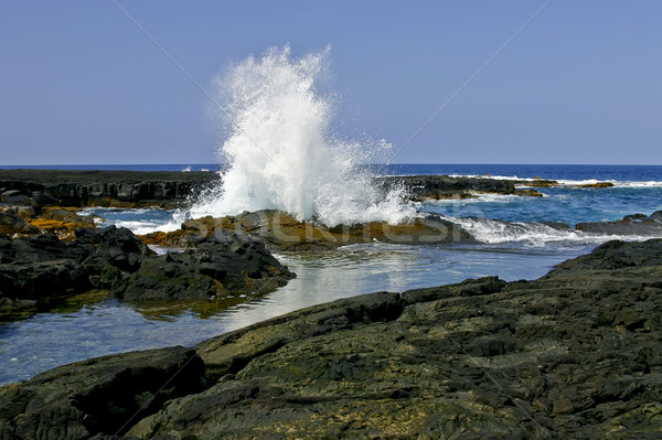 Mare val insulă Hawaii Imagine de stoc © photoblueice