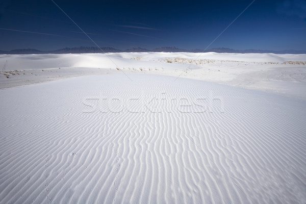 Tracks across the white sand Stock photo © photoblueice
