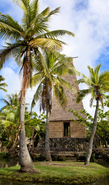 Polynesisch hut eiland Hawaii traditioneel palmbomen Stockfoto © photoblueice