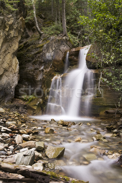 Sedoso cachoeira belo Foto stock © photoblueice