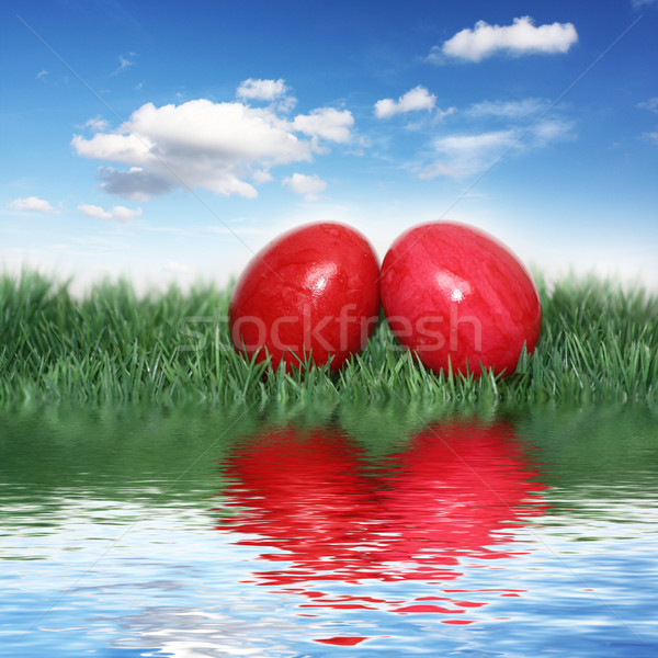 Easter time Stock photo © photochecker
