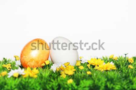 Easter egg decoration for Easter  Stock photo © photochecker