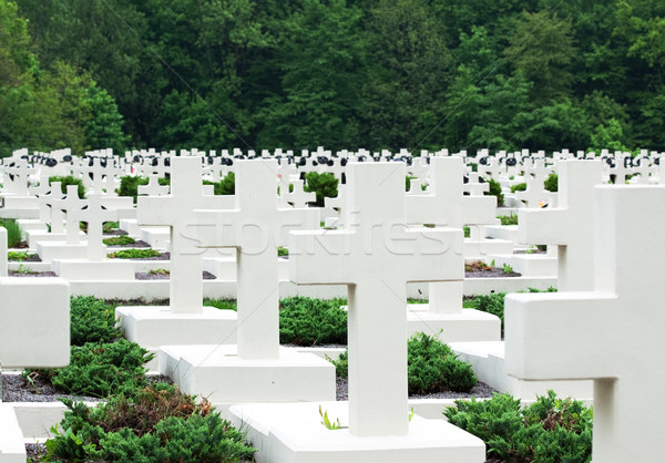 military cemetery Stock photo © Photocrea