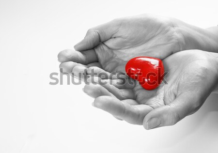 Heart in woman hands. Love giving, care, health, protection. Stock photo © photocreo