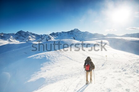 Mountain trekking Stock photo © photocreo