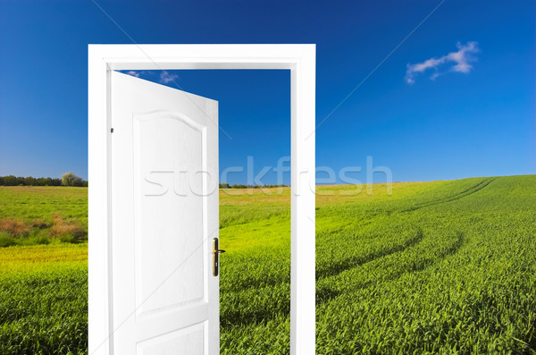 Door to new world Stock photo © photocreo
