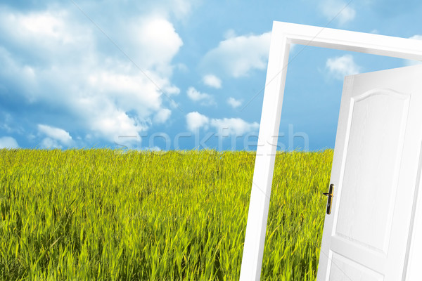 Door to the new world Stock photo © photocreo