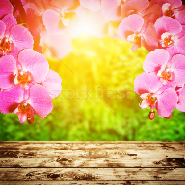 Spa zen wellness Orchidea kwiaty powyżej Zdjęcia stock © photocreo