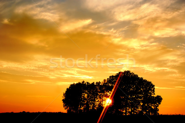 Stockfoto: Zonsondergang · bomen · ruimte · boom · oranje · groene