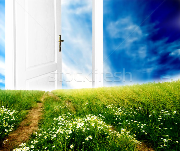 Door to new world Stock photo © photocreo