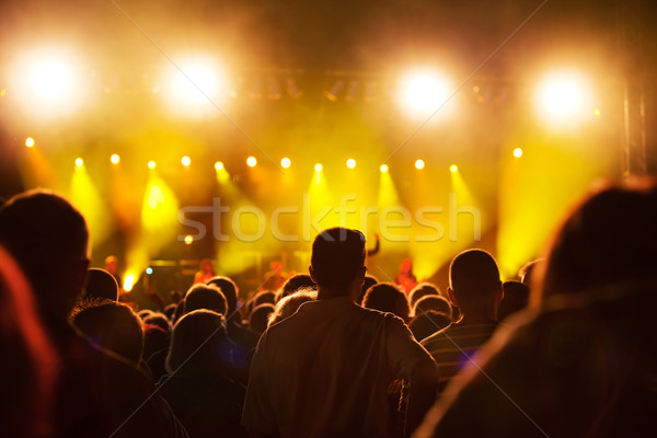 Ludzi muzyki koncertu tłumy strony Zdjęcia stock © photocreo