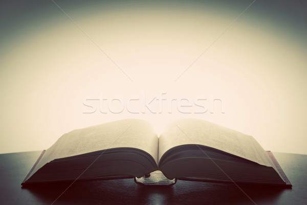 öffnen altes Buch Licht über Phantasie Phantasie Stock foto © photocreo