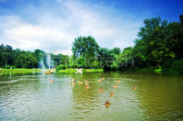 商業照片: 公園 · 池塘 · 夏天 ·樹· 太陽