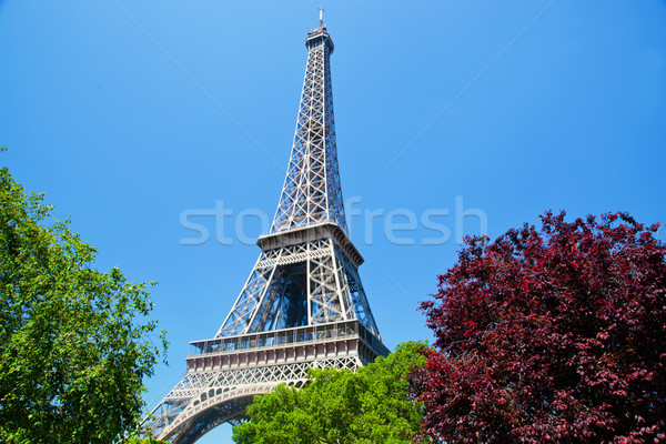 Eiffel Tower, Paris, France Stock photo © photocreo