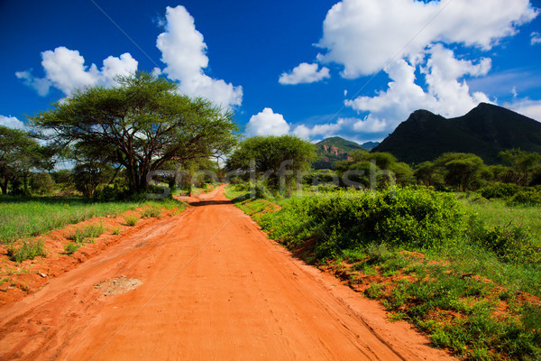 Red ground road, bush with savanna. Tsavo West, Kenya, Africa Stock photo © photocreo