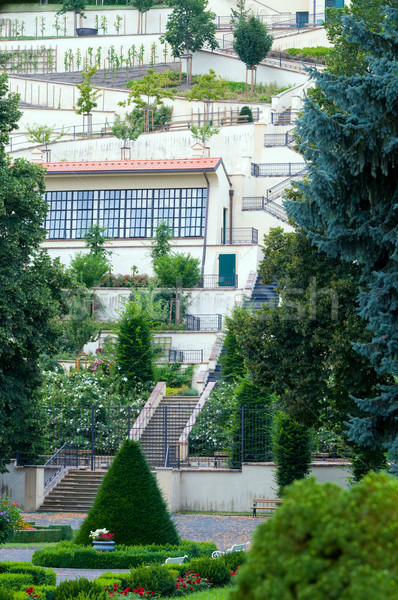 Prague Castle Gardens Stock photo © photocreo