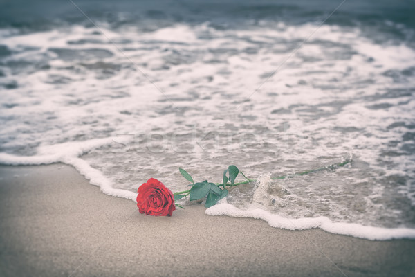 Fale mycia z dala czerwona róża plaży vintage Zdjęcia stock © photocreo