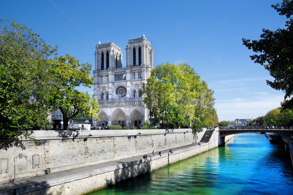 Imagine de stoc: Catedrala · Notre · Dame · Paris · Franta · vedere · cer · constructii