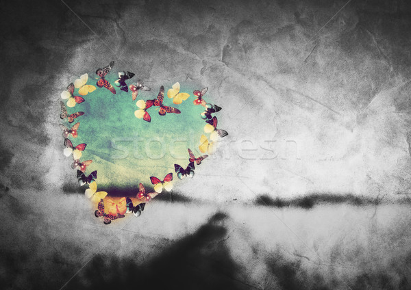 Forma de inima colorat fluturi negru alb câmp epocă Imagine de stoc © photocreo
