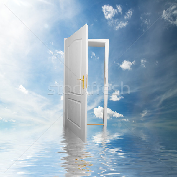 Door to new world. Hope, success, new way concepts Stock photo © photocreo
