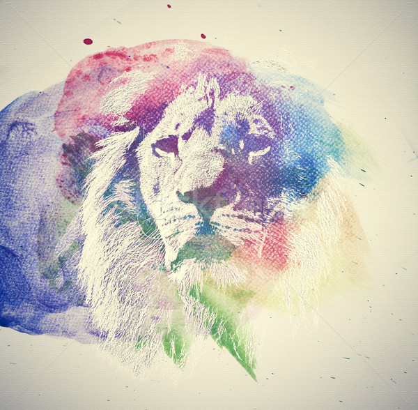 水彩畫 畫 獅子 抽象 藝術 商業照片 © photocreo