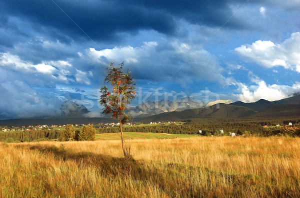 Mountains landscape Stock photo © photocreo
