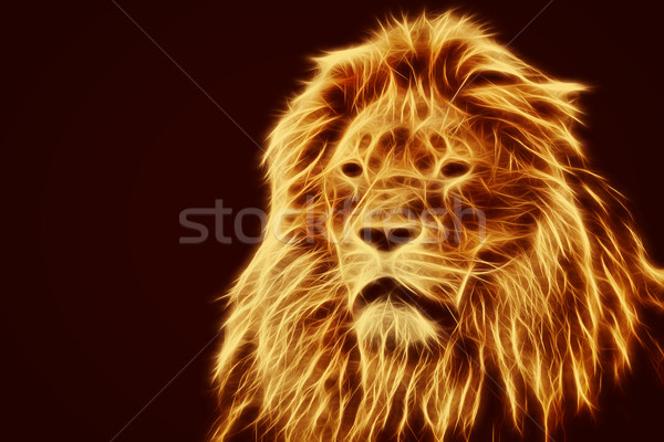 Abstract, artistic lion portrait. Fire flames fur, black background Stock photo © photocreo