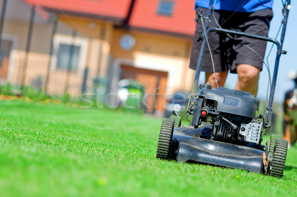 Mowing the lawn Stock photo © photocreo