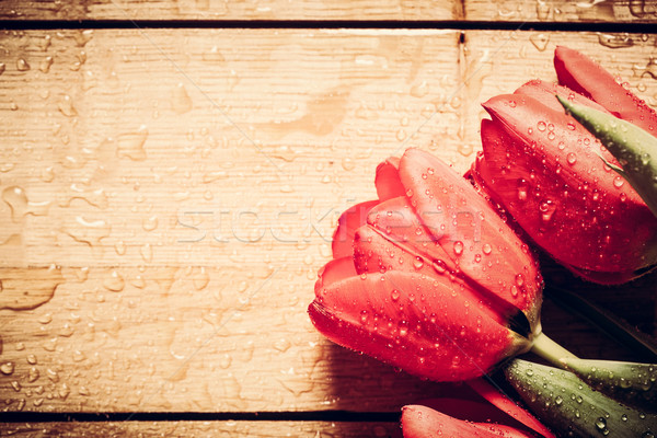 Fresche rosso tulipano fiori bouquet legno Foto d'archivio © photocreo