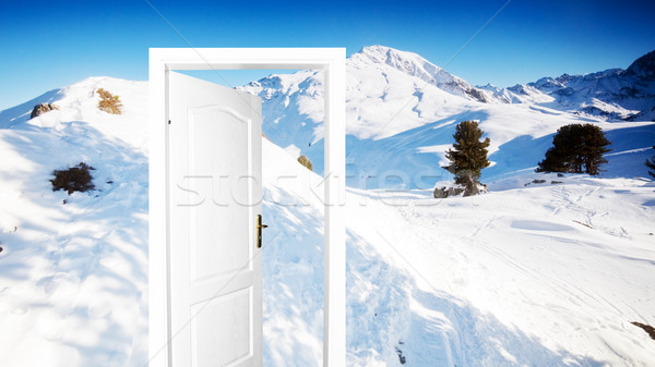 Winter version of door to new world Stock photo © photocreo