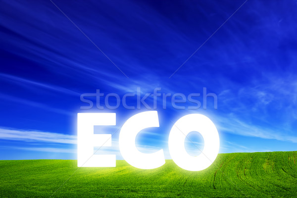 Stock photo: Spring field of fresh green grass with glowing Eco caption