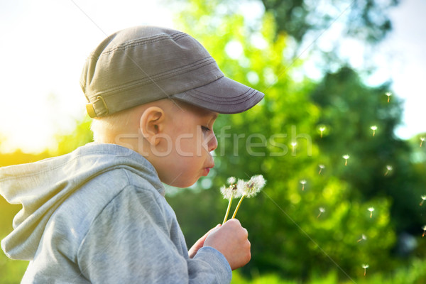 Cute child blowing dandelion Stock photo © photocreo