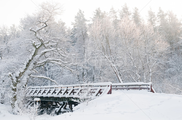 Winter scenery. Fairytale forest, bridge, snowy trees Stock photo © photocreo