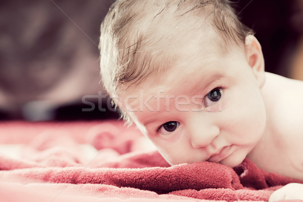 Aranyos hónapok baba piros pléd néz Stock fotó © photocreo