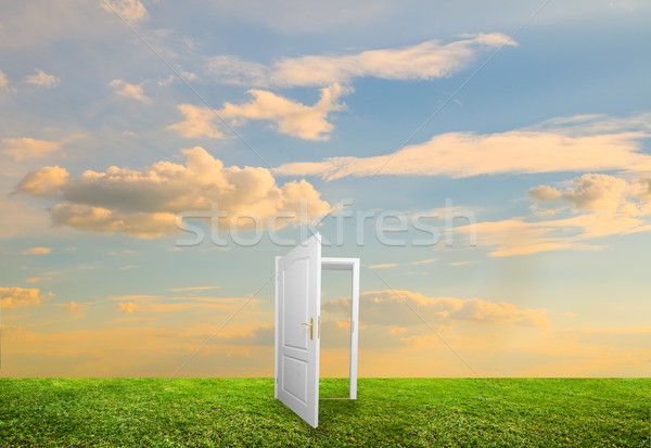 Kapıyı açmak yeni hayat alan umut başarı dünya Stok fotoğraf © photocreo
