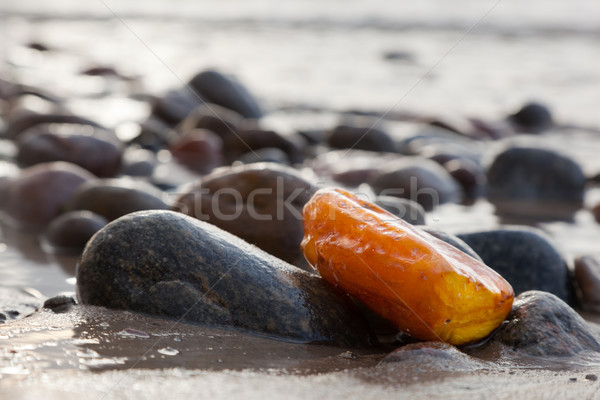 Amber stone on rocky beach. Precious gem, treasure. Baltic Sea Stock photo © photocreo